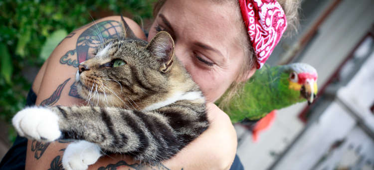 Person med papegoja på axeln kelar med en katt